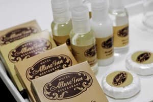 Отель AllureInn. Люкс двухместный Элит 3