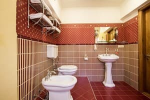 Отель Буковина. Люкс двухместный представительский № 400 7