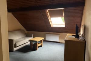 Гостинично-ресторанный комплекс Георг Парк. Стандарт 4-местный семейный 3