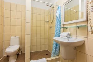 Гостинично-ресторанный комплекс Георг Парк. Стандарт двухместный с террасой 4