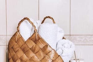 Квартира по ул. О. Кобылянской 31. Апартаменты двухместный  20